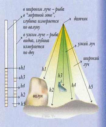 Эхолот широкий и узкий луч Эхолот широкий и узкий луч
